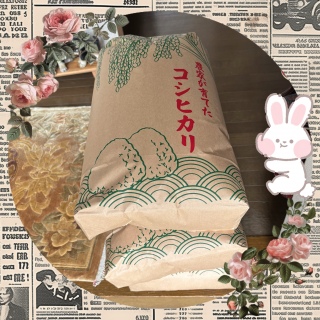 sꂱ