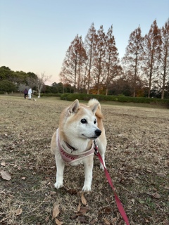 ������M�����