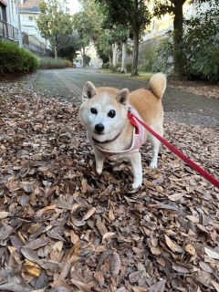 �o�^�o�^�ȓ�