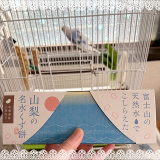 �V�C�ɂȂ���