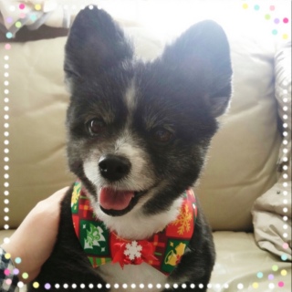 �ЂȂ�����