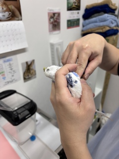 �^���E�����̂Ƃ�