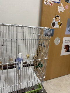 �p���������`