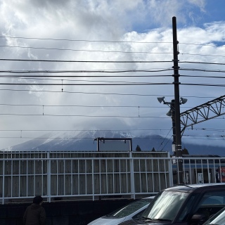 ���傱���ƕx�m�R