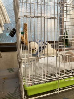 �^�������