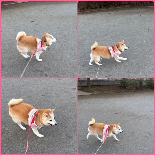 ������M�����