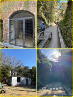 �����v��