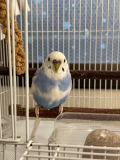 �����̃^���E