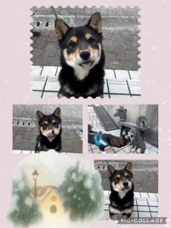 ���߂܂��āI