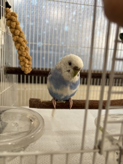 ��܎t�͐������H