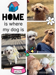 �挎�̂���