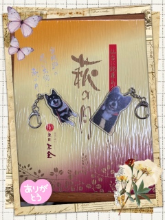 �������v���[���g