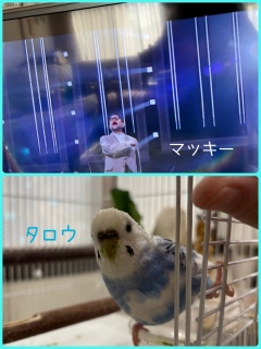 ��D���^���E