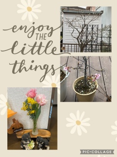 �Ԃ̂����炵