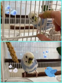 �h�X���b�I�h�J���b�I