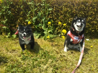 �t�͊O�ɏo�����Ȃ�