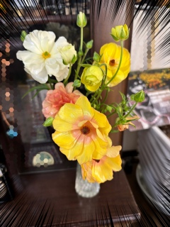 ����͂��̂���🌸