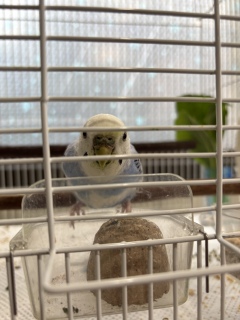 ���͂Ŏ���