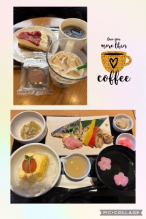 �����̂��ꂱ��