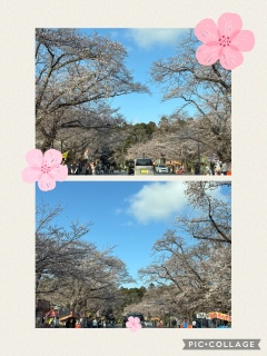 �ԑ�����