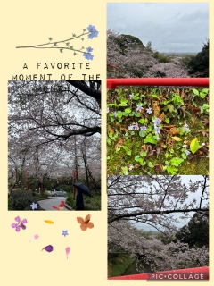 ������̏�R����