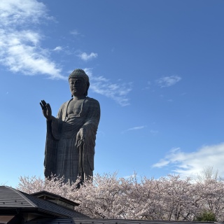 �啧���܂ƍ�