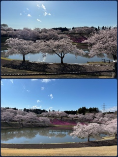 �����̍�