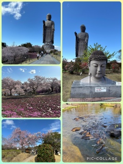 �����[�߁H