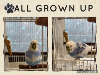 ���͂悧��