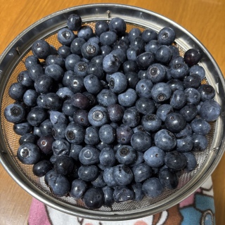 �������v���[���g
