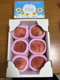���肪�Ƃ�